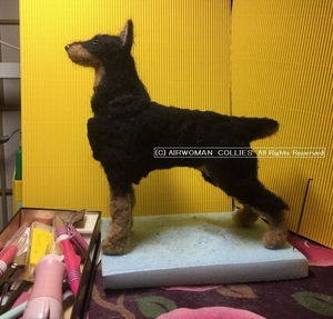 NFdollDogDove161212p900.jpg